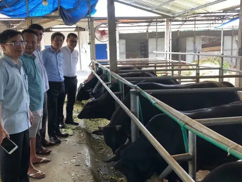 Đến hết năm 2025, Thái Nguyên phấn đấu đạt 97% xã đạt chuẩn nông thôn mới