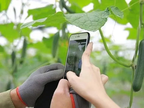 Giá trị của nghiên cứu khoa học