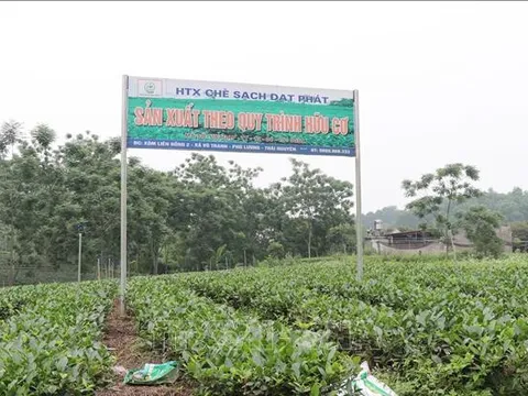 Huyện Định Hóa-Thái Nguyên: Khởi sắc sau 13 năm xây dựng nông thôn mới