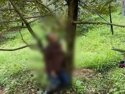 Lâm Đồng: Điều tra người đàn ông tử vong trong tư thế treo cổ trong vườn sầu riêng