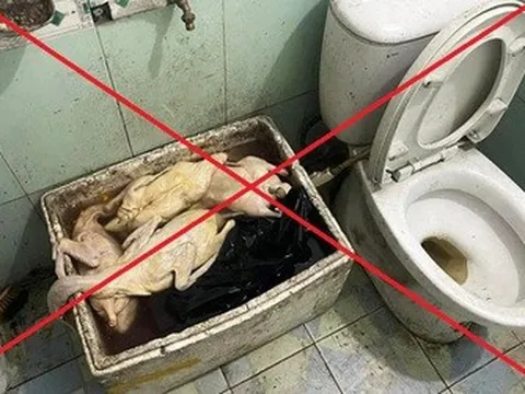 Sự thật bất ngờ vụ "quán vịt có giòi cạnh bồn cầu" ở Quảng Ninh