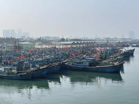 Miền Trung sẵn sàng ứng phó áp thấp nhiệt đới