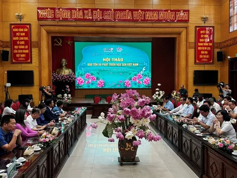 Bảo tồn và phát triển hoa sen Việt Nam trên địa bàn thành phố Hà Nội