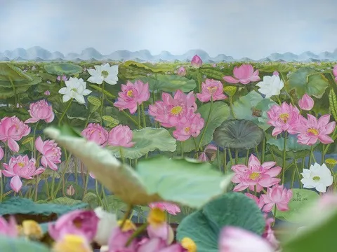 Bức tranh Sen Liên Hoa Tịnh Cảnh trưng bày tại lễ hội Sen Hà Nội 2024