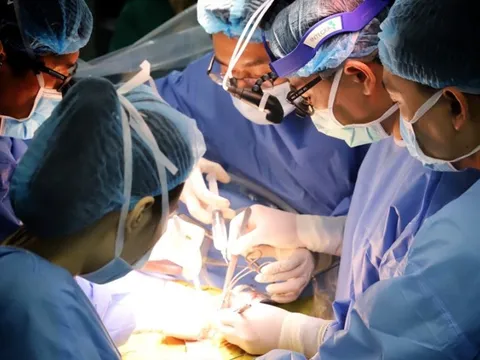 Ghép tạng tái sinh nhiều cuộc đời