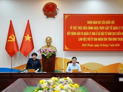 Giám sát thực hiện chính sách về quản lý thị trường bất động sản, nhà ở xã hội ở Bình Thuận