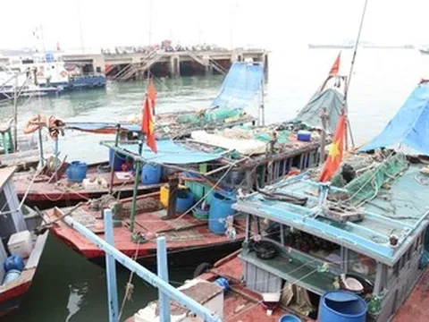 Quảng Ninh: Hoàn thành đăng ký 428 tàu cá trong tháng 10/2024
