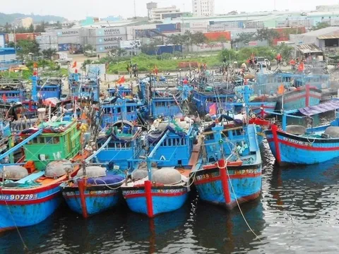 Đà Nẵng rà soát, giải quyết dứt điểm tàu cá '3 không'