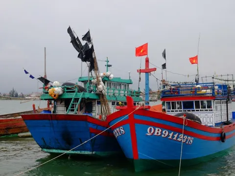 Quảng Bình tập trung khắc phục tồn tại trong chống khai thác IUU