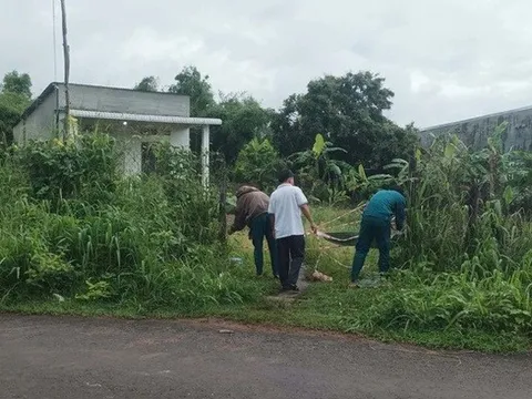 Kinh hoàng phát hiện thi thể người phụ nữ bị quấn chặt, đốt cháy