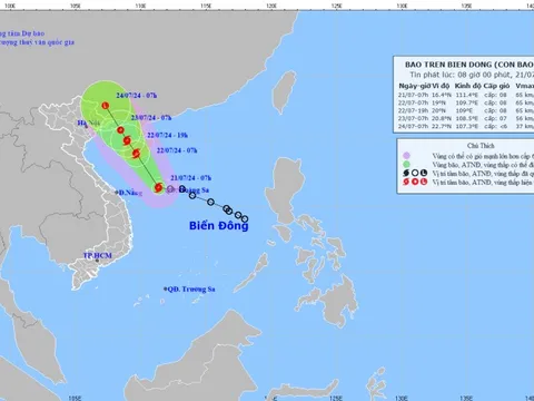 Áp thấp nhiệt đới mạnh lên thành bão, giật cấp 10