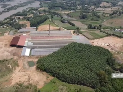 Kiểm kê đất đai trên phạm vi cả nước từ ngày 1/8/2024