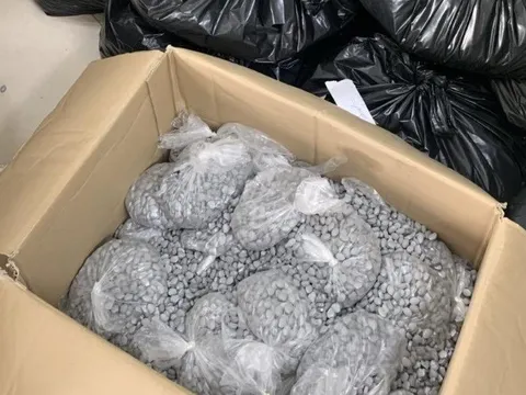 Hải quan tích cực phối hợp phòng chống tội phạm ma túy