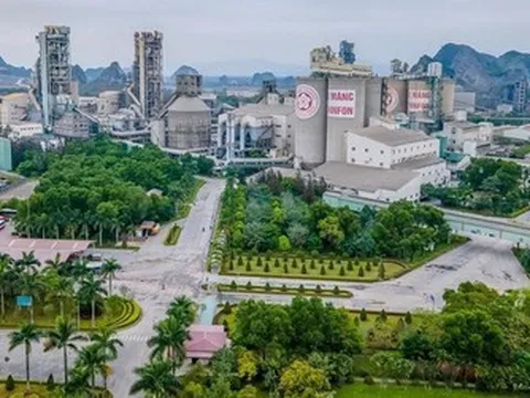 Xi măng Chinfon lãi mỏng nửa đầu năm, nợ phải trả gần 2.500 tỷ đồng