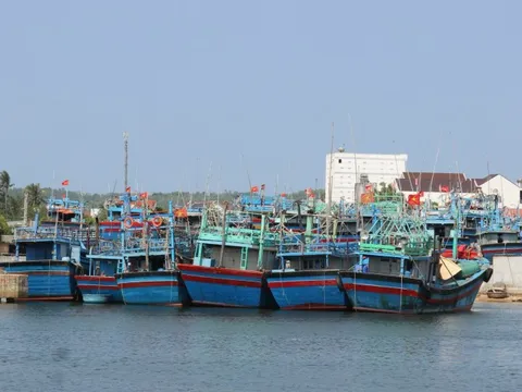 Bình Định sẽ thu hồi giấy phép tàu cá không lắp thiết bị giám sát hành trình