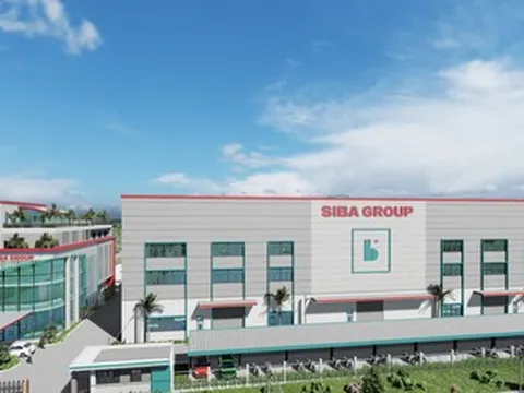 Tân binh Siba Group của ông Trương Sỹ Bá báo lãi đi lùi