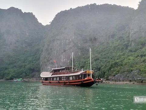 Doanh nghiệp lo lắng khi Hải Phòng tăng phí các tuyến du lịch trên đảo Cát Bà