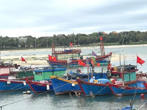 Chống khai thác IUU: Quảng Bình cần sớm giải quyết các tàu cá "3 không"