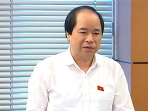 ĐBQH: Tái giám sát nội dung đã được giám sát chuyên đề là cần thiết