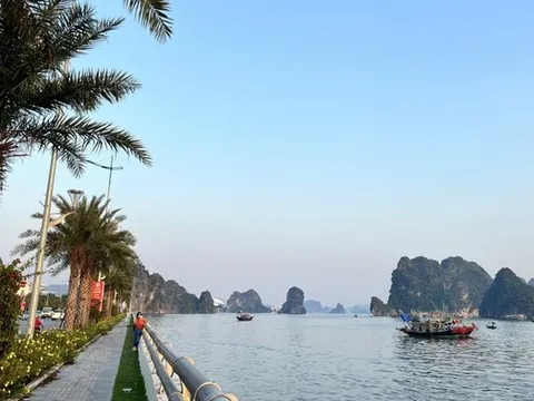 Lần đầu tổ chức Lễ hội thuyền buồm, dù bay trên Vịnh Hạ Long