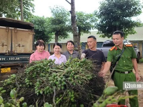 Chính sách nhân văn giúp hơn 200 người lầm lỗi ở Đắk Lắk làm lại cuộc đời