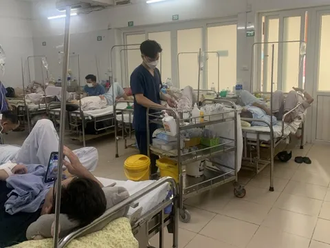 Gia tăng các ca sốt xuất huyết