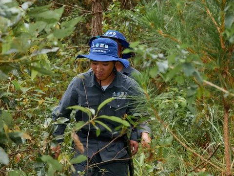 Ngành lâm nghiệp hoàn thiện cơ sở pháp lý, sớm thích ứng với EUDR