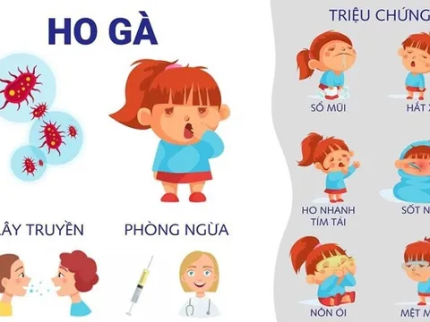 Cảnh báo trẻ mắc ho gà phải nhập viện và dấu hiệu nhận biết bệnh