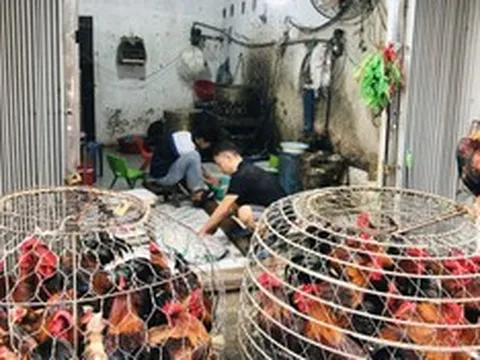 Xử lý, chấn chỉnh bất cập tại chợ đầu mối gia cầm Hải Bối