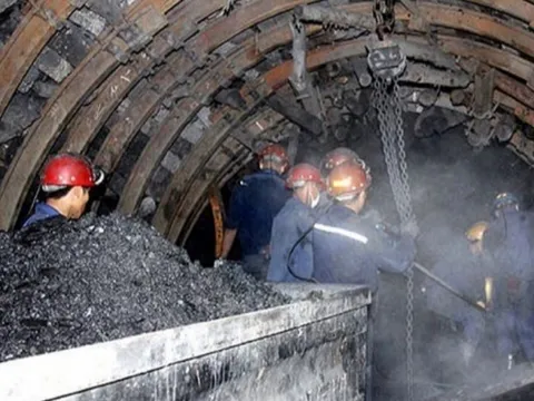 Thủ tướng chỉ đạo khắc phục hậu quả tai nạn hầm lò tại Công ty than Hòn Gai