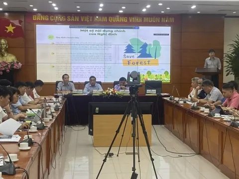 Nhiều vấn đề thực tiễn phát sinh trong thi hành Luật Lâm nghiệp được tháo gỡ