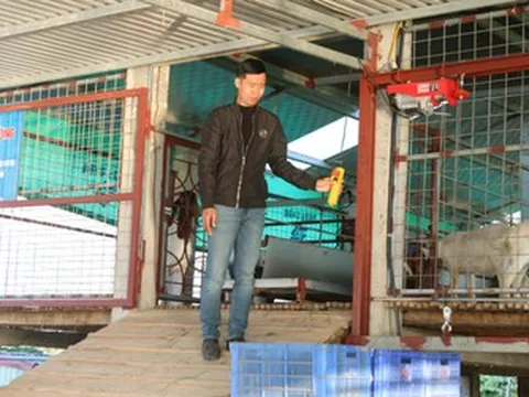 Anh nông dân bỏ phố về quê nuôi con thích nghe nhạc, thu lãi hàng trăm triệu đồng/năm