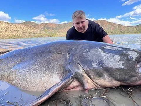 Cậu bé 11 tuổi vật lộn gần nửa tiếng câu con cá "khổng lồ" dài 2,7 mét