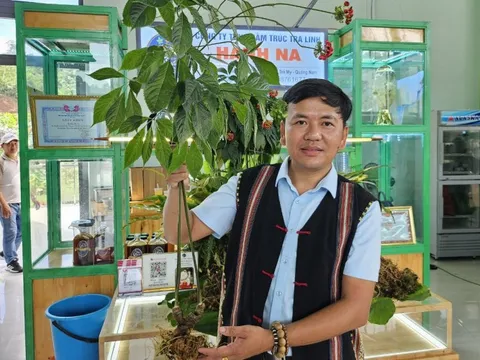 Sôi nổi các hoạt động lễ hội sâm Ngọc Linh ở vùng cao Quảng Nam