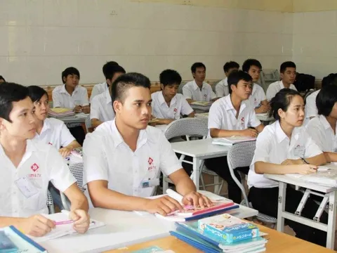 Hỗ trợ lao động Việt Nam kết nối việc làm tại Nhật Bản