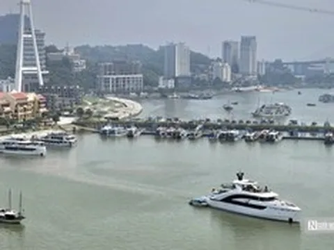 Quảng Ninh: Xây dựng kế hoạch phát triển đội tàu nhà hàng trên các vịnh