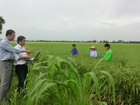 Australia hỗ trợ đổi mới nông nghiệp bền vững tại Việt Nam