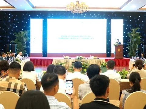 Đà Nẵng tăng cường kết nối giao thương xúc tiến xuất khẩu