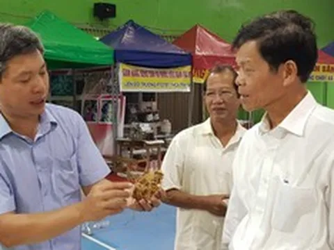 Quảng Nam lập 2 hội sâm, quế, xúc tiến mở Trung tâm dược liệu của cả nước