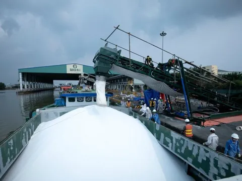 Phân bón Cà Mau: Tăng trưởng 10% so với cùng kỳ năm 2023