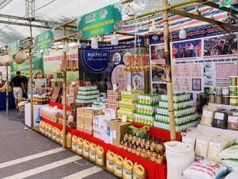Sắc màu mới của Festival nông nghiệp 2024