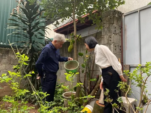 Hà Nội: Đẩy mạnh tổng vệ sinh môi trường phòng chống sốt xuất huyết