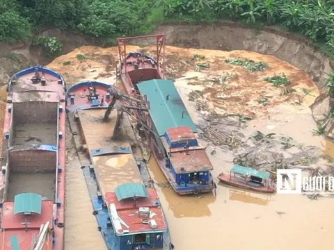 Hà Nội: Cần làm rõ quá trình khai thác tại mỏ cát của Vinaconex