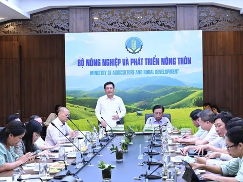 Cần thiết thành lập Hội đồng lúa gạo quốc gia