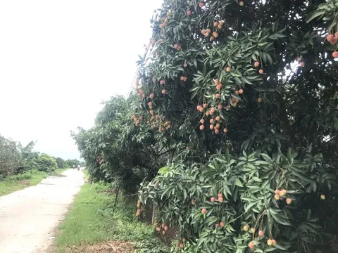 Xây dựng nông thôn mới là kết quả đồng lòng từ nhân dân đến chính quyền các cấp