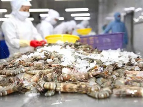 Kinh doanh khởi sắc, Minh Phú vẫn không hoàn thành nổi 5% mục tiêu lợi nhuận