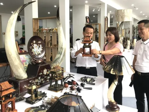 Tận dụng tối đa cơ hội từ các hiệp định FTA