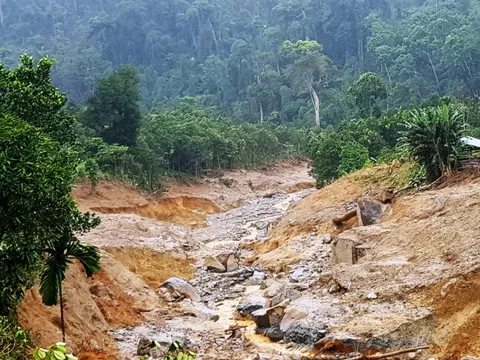 Làm gì để hạn chế rủi ro do mưa lũ, sạt lở đất?
