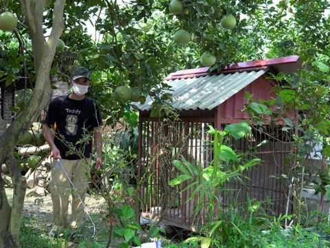 Hà Nội: Quyết liệt triển khai biện pháp phòng, chống bệnh dại