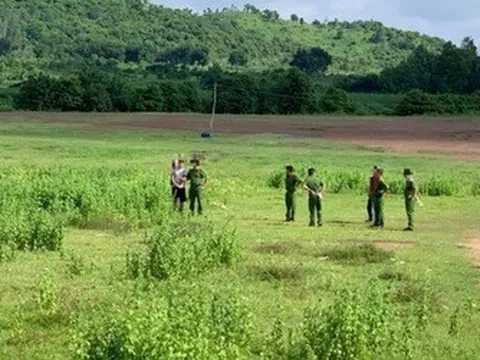 Hành trình 24 giờ truy vết, bắt giữ tài xế xe tải chặn đường hiếp dâm cô gái trẻ